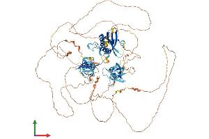 AlphaFold protein structure predicition of Mouse Recombinant Sh3pxd2b Protein, UniprotID A2AAY5