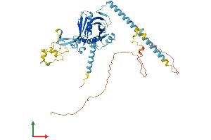 Protein Structure (PS) image for Peter Pan Homolog (PPAN) (AA 1-470) protein (His tag) (ABIN7560122)