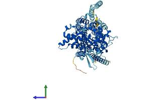 Protein Structure (PS) image for STT3, Subunit of The Oligosaccharyltransferase Complex, Homolog A (STT3A) (AA 1-705) protein (His tag) (ABIN7555660)