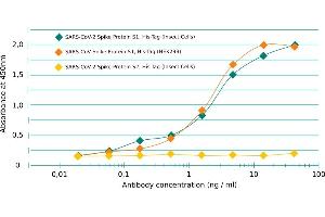 ELISA image for anti-SARS-CoV-2 Spike S1 (RBD) antibody (ABIN6952546)