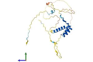 AlphaFold protein structure predicition of Mouse Recombinant Isx Protein, UniprotID A1A546