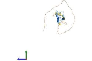 Protein Structure (PS) image for Kinetochore-associated protein DSN1 homolog (DSN1) (AA 1-356) protein (His tag) (ABIN7547263)