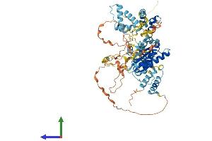 Protein Structure (PS) image for Tigger Transposable Element Derived 5 (TIGD5) (AA 1-642) protein (His tag) (ABIN7544347)