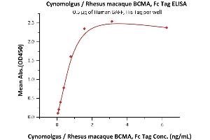 ELISA image for Tumor Necrosis Factor Receptor Superfamily, Member 17 (TNFRSF17) (AA 1-53) (Active) protein (Fc Tag) (ABIN6253713)