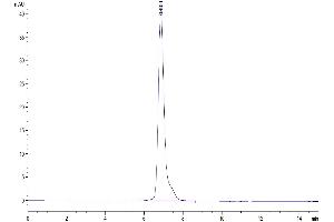 Size-exclusion chromatography-High Pressure Liquid Chromatography (SEC-HPLC) image for Colony Stimulating Factor 2 Receptor, Alpha, Low-Affinity (Granulocyte-Macrophage) (CSF2RA) (AA 23-320) protein (Fc Tag) (ABIN7274782)