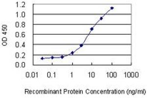 Detection limit for recombinant GST tagged MIPOL1 is 0. (MIPOL1 抗体  (AA 321-423))