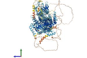 Protein Structure (PS) image for ATPase, Class V, Type 10D (ATP10D) (AA 1-1426) protein (His tag) (ABIN7552477)