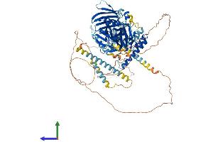 Protein Structure (PS) image for Oxysterol Binding Protein-Like 5 (OSBPL5) (AA 1-879) protein (His tag) (ABIN7554872)