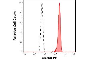 Separation of human CD268 positive lymphocytes (red-filled) from neutrophil granulocytes (black-dashed) in flow cytometry analysis (surface staining) of human peripheral whole blood stained using anti-human CD268 (11C1) PE antibody (10 μL reagent / 100 μL of peripheral whole blood).