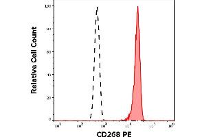 Separation of human CD268 positive lymphocytes (red-filled) from neutrophil granulocytes (black-dashed) in flow cytometry analysis (surface staining) of human peripheral whole blood stained using anti-human CD268 (11C1) PE antibody (10 μL reagent / 100 μL of peripheral whole blood). (TNFRSF13C 抗体  (PE))