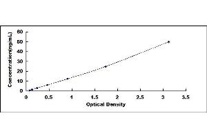 Typical standard curve (TXNRD1 ELISA 试剂盒)