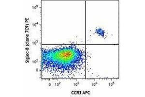 Flow Cytometry (FACS) image for anti-Sialic Acid Binding Ig-Like Lectin 8 (SIGLEC8) antibody (PE) (ABIN2663884) (SIGLEC8 抗体  (PE))