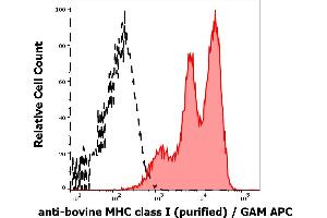 Separation of bovine lymphocytes stained using anti-bovine MHC Class I (IVA26) purified antibody (concentration in sample 10 μg/mL, GAM APC, red-filled) from bovine lymphocytes unstained by primary antibody (GAM APC, black-dashed) in flow cytometry analysis (surface staining). (MHC Class I (Alpha+beta2m Chains) 抗体)