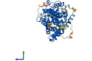Protein Structure (PS) image for rho GTPase Activating Protein 1 (ARHGAP1) (AA 1-439) protein (His tag) (ABIN7557454)