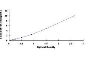Leukocyte Cell Derived Chemotaxin 1 (LECT1) ELISA Kit