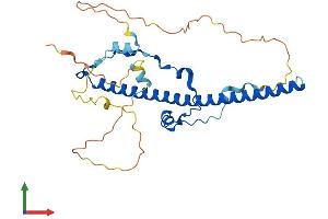 Protein Structure (PS) image for Hepatic Leukemia Factor (HLF) (AA 1-295) protein (His tag) (ABIN7548318)