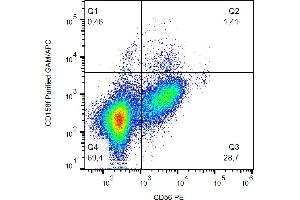 Flow cytometry analysis (surface staining) of human peripheral blood with anti-CD158f (UP-R1) purified / GAM-APC. (KIR2DL5A 抗体)