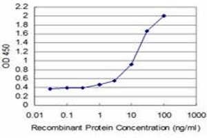Detection limit for recombinant GST tagged TESK2 is approximately 0. (TESK2 抗体  (AA 405-542))