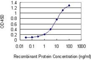 Detection limit for recombinant GST tagged NPAS4 is 0. (NPAS4 抗体  (AA 704-802))