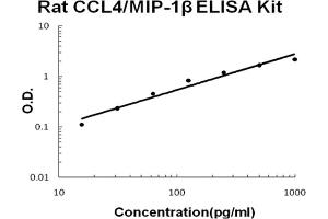 Rat CCL4/MIP-1 beta Accusignal ELISA Kit Rat CCL4/MIP-1 beta AccuSignal ELISA Kit standard curve. (CCL4 ELISA 试剂盒)