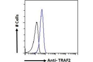 Flow Cytometry (FACS) image for anti-TNF Receptor-Associated Factor 2 (TRAF2) (C-Term) antibody (ABIN190911)