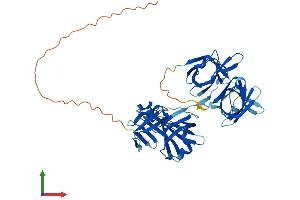 AlphaFold protein structure predicition of Mouse Recombinant Ifi202 Protein, UniprotID Q9R002