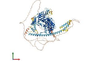 AlphaFold protein structure predicition of Human Recombinant MORC1 Protein, UniprotID Q86VD1 (MORC1 Protein (AA 1-984) (His tag))