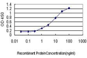 Detection limit for recombinant GST tagged KLK8 is approximately 0. (Kallikrein 8 抗体  (AA 97-204))