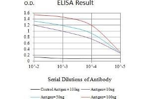 Black line: Control Antigen (100 ng),Purple line: Antigen (10 ng), Blue line: Antigen (50 ng), Red line:Antigen (100 ng) (MSI2 抗体  (AA 1-190))