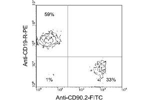 Flow Cytometry (FACS) image for anti-CD90 (THY1) antibody (FITC) (ABIN371031) (CD90 抗体  (FITC))