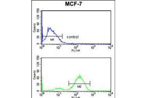 Flow cytometry analysis of MCF-7 cells (bottom histogram) compared to a negative control cell (top histogram). (JUP 抗体  (C-Term))
