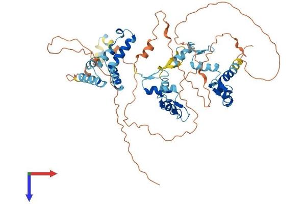 ZNF394 Protein (AA 1-561) (His tag)
