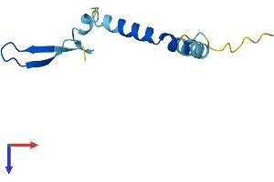 CNPY1 Protein (AA 1-92) (His tag)