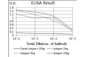 Black line: Control Antigen (100 ng), Purple line: Antigen(10 ng), Blue line: Antigen (50 ng), Red line: Antigen (100 ng), (Osteoactivin 抗体  (AA 31-260))