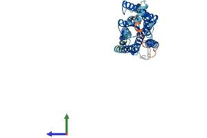 Protein Structure (PS) image for Opsin 1 (Cone Pigments), Medium-Wave-Sensitive (OPN1MW) (AA 1-359) protein (His tag) (ABIN7562338)