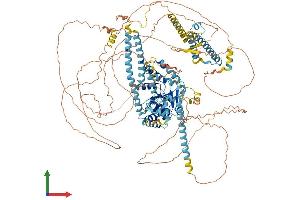 AlphaFold protein structure predicition of Human Recombinant ERCC5 Protein, UniprotID P28715