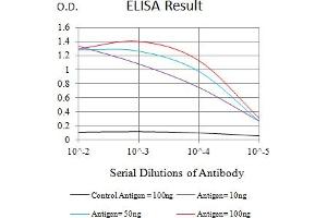 Black line: Control Antigen (100 ng),Purple line: Antigen (10 ng), Blue line: Antigen (50 ng), Red line:Antigen (100 ng) (VPREB1 抗体  (AA 20-145))