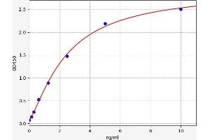 Typical standard curve (NFKBIA ELISA 试剂盒)
