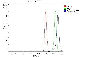 Flow Cytometry analysis of A549 cells using anti-Calnexin/CANX antibody (ABIN7602289). (Calnexin 抗体  (AA 68-582))