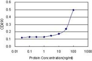 Sandwich ELISA detection sensitivity ranging from 3 ng/mL to 100 ng/mL. (SRPK1 (人) Matched Antibody Pair)