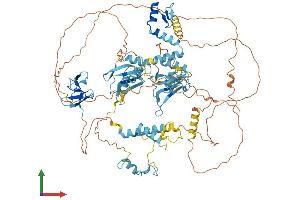 Protein Structure (PS) image for RNA Binding Motif Protein 5 (RBM5) (AA 1-815) protein (His tag) (ABIN7564820)