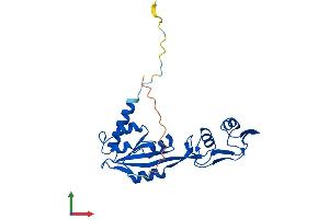 Protein Structure (PS) image for mRNA Turnover 4 Homolog (MRTO4) (AA 1-239) protein (His tag) (ABIN7549571)