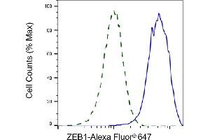 Validation of ZEB1 knockdown using flow cytometry. (Recombinant ZEB1 抗体)