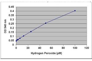 H2O2 Standard Curve.