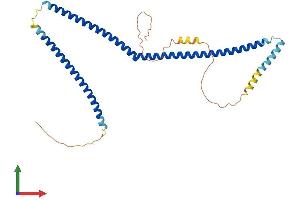 AlphaFold protein structure predicition of Mouse Recombinant Ccdc83 Protein, UniprotID Q9D4V3