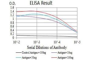 Black line: Control Antigen (100 ng),Purple line: Antigen (10 ng), Blue line: Antigen (50 ng), Red line:Antigen (100 ng) (BAX 抗体  (AA 13-160))