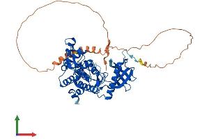 Protein Structure (PS) image for CDC-Like Kinase 4 (CLK4) (AA 1-481) protein (His tag) (ABIN7546564)