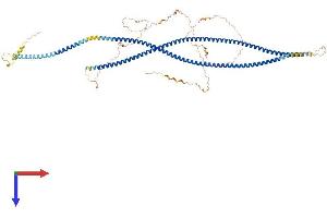 CTAGE Family, Member 15 (CTAGE15) (AA 1-777) protein (His tag)