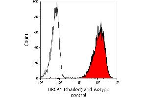 Flow Cytometry (FACS) image for anti-Breast Cancer 1 (BRCA1) (AA 525-575) antibody (ABIN7795735) (Recombinant BRCA1 抗体  (AA 525-575))