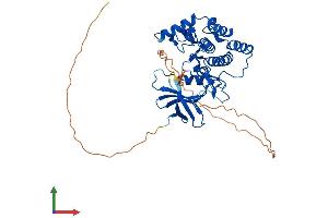 AlphaFold protein structure predicition of Human Recombinant CSNK1G2 Protein, UniprotID P78368